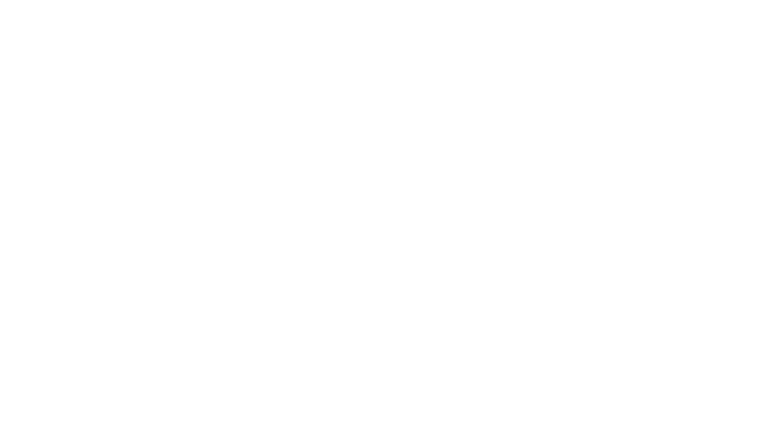 Palma Media